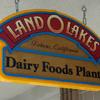 Hanging Dimensional Sign - LandOLakes